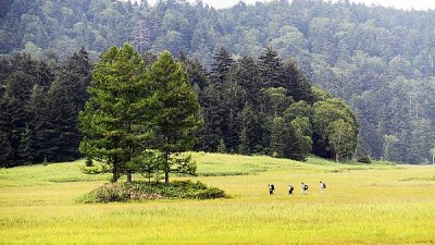 일본 오제(尾瀬)국립공원