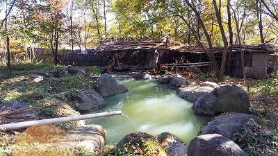 八峰の湯、尖石の湯