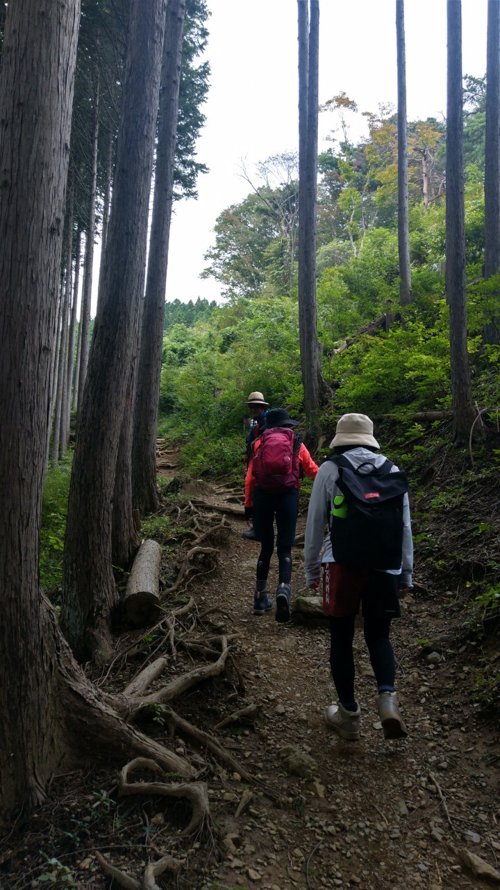 안녕하세요. 회원신청부탁드립니다.