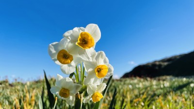 2020년 마지막 여행 伊豆半島(静岡県)