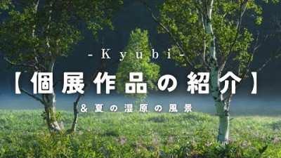 【自然写真】個展作品の紹介と夏の湿原の風景