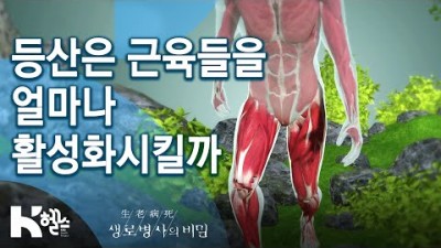 등산은 근육들을 얼마나 활성화시킬까 - [생로병사의비밀] 665회 핫클립