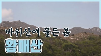 신비한 기적길을 품은 황매산 [세계명산트레킹]