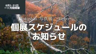 8月に開催fotoshin個展【Echo】のスケジュールのお知らせ