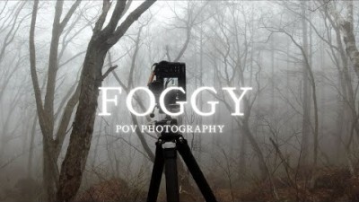 【風景写真POV】マタギ風・霧の森を彷徨いながら美しい木々を撮影｜Foggy forest photography