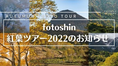【お知らせ】fotoshin秋の紅葉ツアー開催いたします！予約受付中