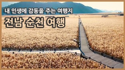 국내여행 다큐 전남 순천 여행 / 순천만 습지, 선암사, 송광사, 낙안읍성, 화포해변, 용산 전망대, 와온 해변 / 국내여행지추천, 여행유튜버, 국내여행지 추천, 순천 여행코스