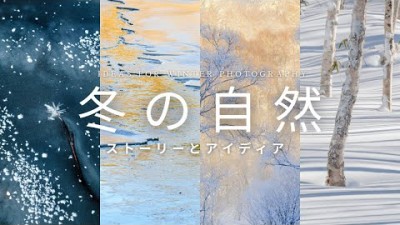 【冬の自然写真】ストーリーとアイディア8つの作品紹介