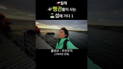 남극 옆에 있는 펭귄섬에 가다 ... #shorts #여행 #칠레#라면