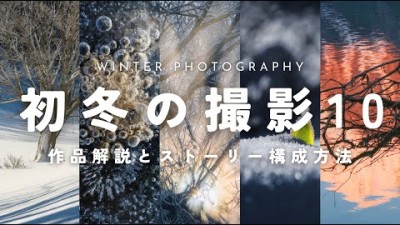 【自然写真】初冬の撮影10・作品解説とストーリー構成方法