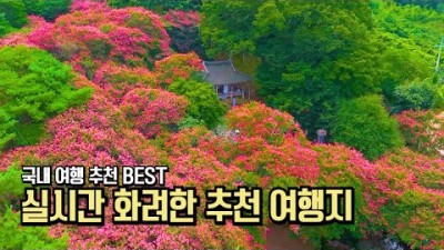 8월 국내 여행 추천 숨겨진 화려한 여행지 BEST #국내여행 #여행추천