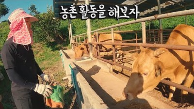 농활을 해보자 (with.리도동동, 캘빈) - 국내여행【6】