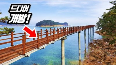 ???? 드디어 열린 최고의 해안 트래킹 코스! 당일치기 버스여행 코스 10 | ???? 대중교통 여행코스 | 10 Best Coastal Trekking Courses in Korea