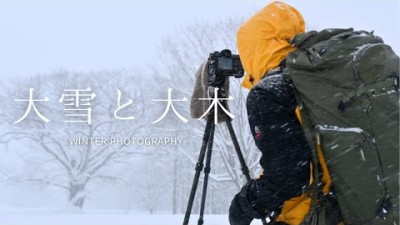 【自然写真】初冬の大雪に耐る大木たち｜大切なお知らせ