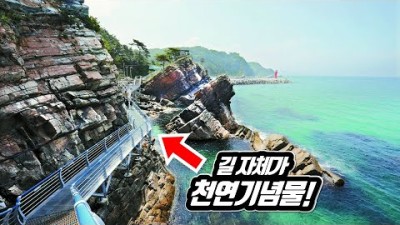 ???? 전구간 개방! 길 전체가 천연기념물인 최고의 해안 트래킹 코스 | ???? 당일치기 기차여행 | Korea Natural Monument Coastal Trekking Course