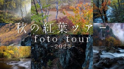 2023年秋の紅葉撮影ツアーのお知らせ