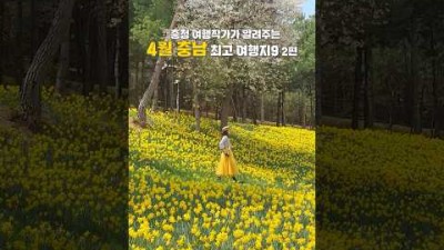 4월 어디로 갈지 고민된다며 충남으로 #충남여행 #4월여행 #수선화 #벚꽃 #국내여행 #국내여행추천