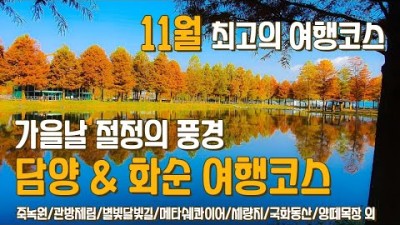 11월 꼭 가보셔야 하는 여행지 전남 담양 &amp; 화순 여행코스 13곳 가을을 만끽할 수 있는 풍경이 가득합니다. 관방제림 메타쉐콰이어길 메타프로방스 죽녹원 세량지 국화동산 등