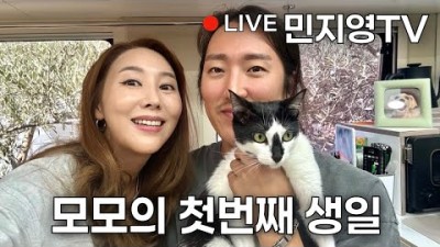 세계여행 중 구조한 아기 고양이와 캠핑카에서 함께 산지 벌써 1년이 되었어요~