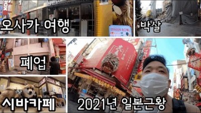 한국인 없는 오사카 폐업 코로나 일본 근황ㅣ일본여행ㅣ시바견 카페ㅣ도톤보리 타코야끼 스타벅스 새친구 반응