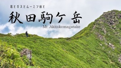 【登山】咲き誇る花の秋田駒ケ岳・国見温泉からムーミン谷を登る｜Hiking to Mt .Akitakomagatake