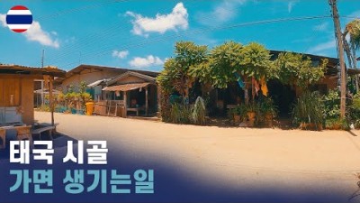 30대 한국남자 태국 시골 체험기 세계여행 [71]