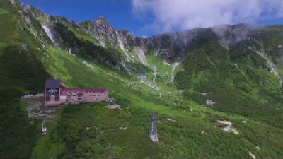 中央アルプス千畳敷カール夏の高山植物　（駒ヶ根観光協会公式）長野県南信州