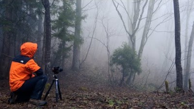 【志賀高原】濡れるNikonZ7・霧の森の木々を撮影｜風景写真landscape photography