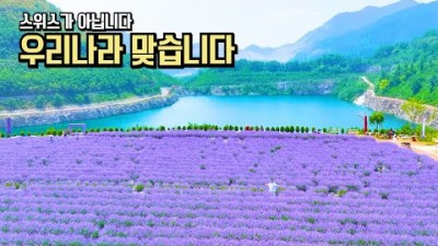 6월 여행 환상적인 국내 여행 추천 미리 알려드림 BEST #여행추천 #국내여행