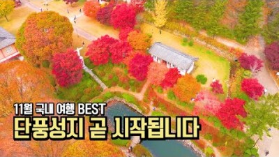 11월 국내 여행 추천 BEST 단풍 시즌 시작입니다 #국내여행 #여행추천