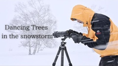 【風景写真】北信州・猛吹雪の中で踊る木々たち｜Landscape photography with dancing trees in the snowstorm