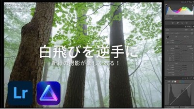 【Lightroom】新緑の現像・白飛びを逆手にとってイキイキした表現へ