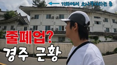 전국민 수학여행 1번지 불국사! 망했다고 해서 찾아와봤습니다만..