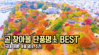 11월 국내 여행 BEST 단풍 명소 미리 알려드립니다 #국내여행 #여행추천