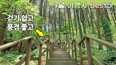 ????7월 여행지 Best 5 누구나 걷기 좋아요 ????가까운 당일 여행 코스 ⛺시원한 계곡과 푸른 숲 멋진 풍경까지 최고