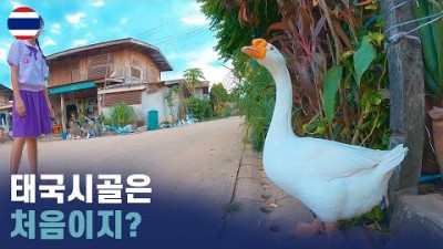 평화로운 태국 시골 이야기 세계여행 [76]