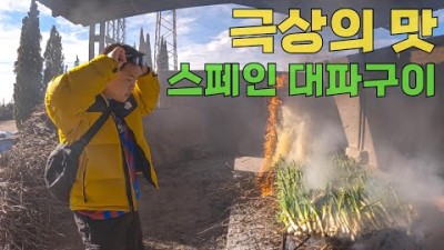 스페인 최고의 요리를 찾아서 - 세계여행(36)