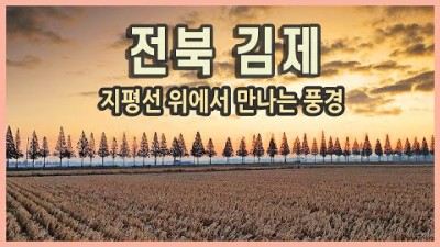 국내여행 전라북도 김제 지평선 여행 / 금산사, 벽골제, 죽산 메타세콰이어 가로수 길, 아리랑 문학마을, 동진강 강변공원 억세 / 국내여행지추천, 여행유튜버