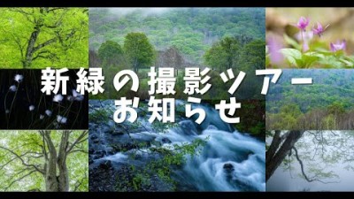 【新緑撮影ツアー】のお知らせ2023年・どこか山奥？