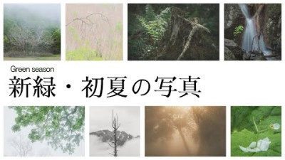 【自然写真】新緑から初夏の撮影・解説｜夏のワークショップ