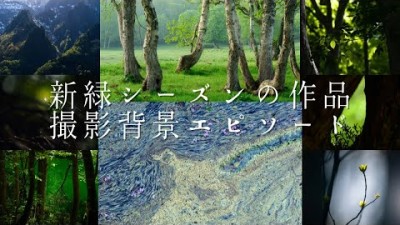 【自然写真】新緑シーズンの作品撮影背景エピソード