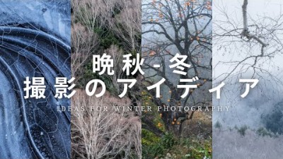 【自然写真】晩秋から冬の撮影のアイディア8つ｜ストーリー