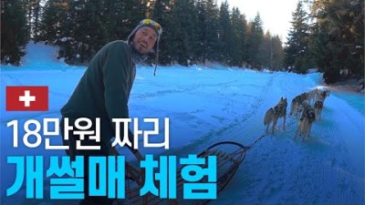 이상한 스위스 개썰매 탐험과 야외 온천 체험기 - 유럽여행 〔40〕