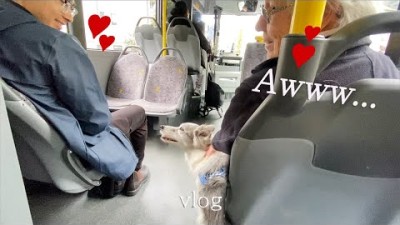 버스 안을 훈훈하게 만든 강아지의 행동 - 강아지와 유럽여행 (8)
