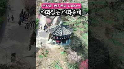 너무 좋지만 이 글 안 보고 가면 낭패당합니다ㅠ #국내여행지추천