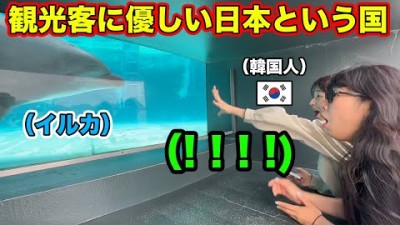無料でイルカが見れる日本での観光に完全に衝撃を受けた韓国人！日本人が国内旅行する理由がわかる！
