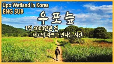 국내여행 경남 창녕 우포늪 여행 / 1억 4000만년 전 태고의 신비를 간직한 진짜 자연을 만나는 곳 / 우포늪생명길, 가을여행지, 국내여행지추천, 여행유튜버, 언택트여행