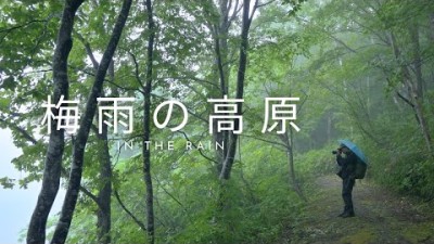 【自然写真】雨と緑あふれる梅雨の高原・GFX100sII