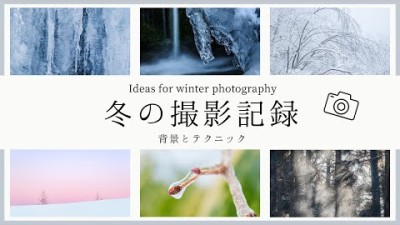 【自然写真】冬の撮影記録・背景とテクニック6つ