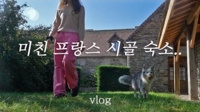 동화같은 집에서 하룻밤 - 강아지와 유럽여행 vlog (4)